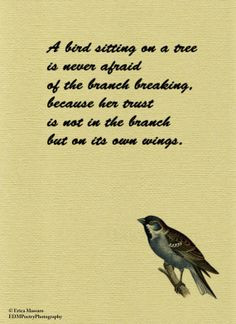 bird sitting on a tree quote inspirational quotes erica massaro ...