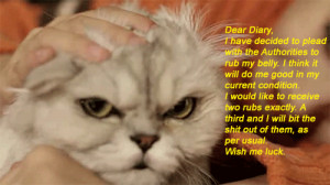 olenna-redwyne:Sad Cat Diaries (x)