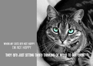 Thoughts Of Payback Quote Photograph