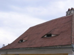 Funny photos funny house roof eyes