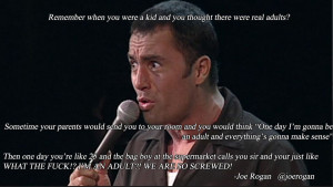 Joe Rogan Weed Meme Tumblr_mddzknx8ao1r04p17o1_ ...