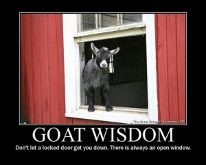 Goat Wisdom