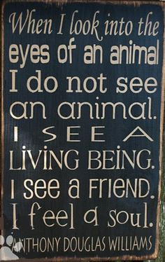 WHEN I LOOK INTO THE EYES OF AN ANIMAL More