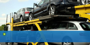 Vehicle Transport Quotes Online