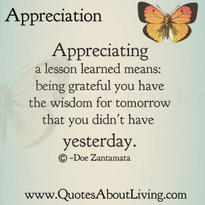 Appreciating a lesson learned means: