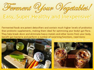 Ferment Your Vegetables: Easy, Super Healthy and Inexpensive! Learn ...