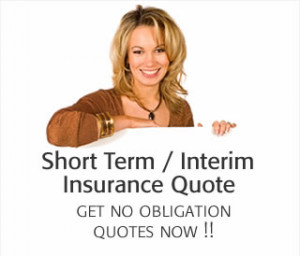 Short Term / Interim Life Cover