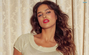 jim harbaugh and his family