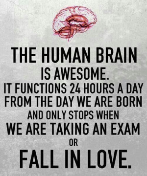 Human brain....