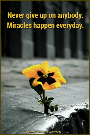 Never give up on anybody. Miracles happen everyday.