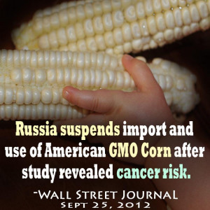 Monsanto [ Monsanto Monsanto quote banners ]