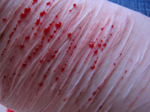 houldI show her my own scars? My own bruises? Iwondered there in our ...