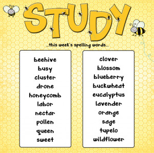Make your spelling words & spelling bees cute & appealing with DJ ...