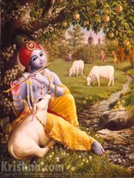 Krishna is also known as Govinda, 'He who gives pleasure to the cows'