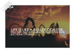 Life is like a roller coaster quote