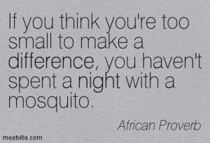 ... , you haven't spent a night with a mosquito. African Proverb
