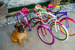 ... Custom Bikes - Just learned about them on Shark Tank. Love the colors
