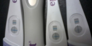 home pregnancy quotes pregnancy quotes hd wallpaper 16