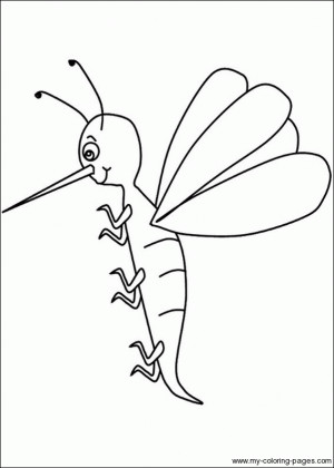 File Name Coloring Mosquito