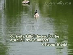 Curiosity killed the cat but for a while i was a suspect quote