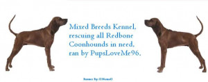 Redbone Coonhound banner Image