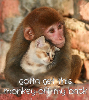 Gotta get this Monkey off my back
