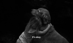 Homeward Bound: The Incredible Journey #movie