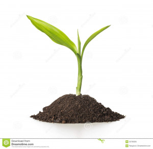 Funny Quotes Contact Dmca...