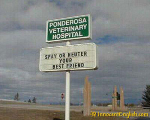 today s funny pics today s funny sign