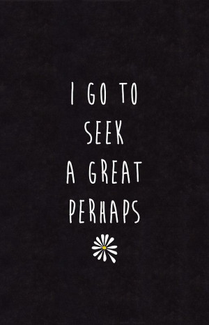 Searched Term: the great perhaps looking for alaska quotes