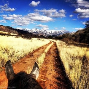 Horse trail