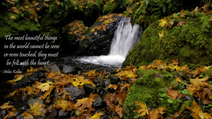 Here is a sample of what these can look like. They can be used in ...