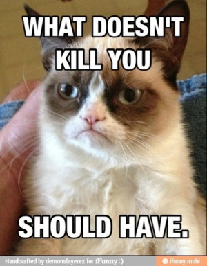Yep just mabey #grumpycat