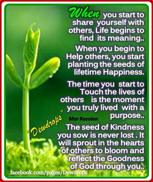 seeds of kindness