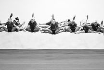 Amazing photos / by Mid American Pompon
