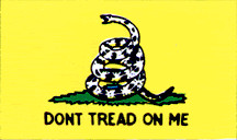 Gadsen Flag (South Carolina Rattlesnake Flag)-2 versions