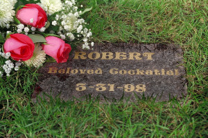 Funny Quotes Contact Us DMCA Notice