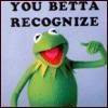 you better recognize with kermit the frog Image