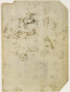Leonardo-da-Vinci---Drawings---Animals--Horse Studies 1505.jpg