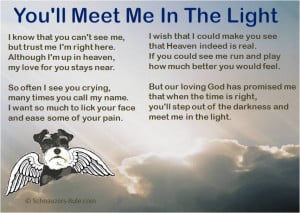 Pet Loss Poem You'll Meet Me In The Light