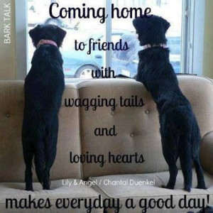 Coming home to friends with wagging tails and loving hearts makes ...