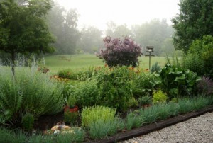 Garden Tips, Garden Advice, Garden Yards, Yards Garden, Herbs Garden ...