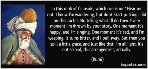 ... is-me-hear-me-out-i-know-i-m-wandering-but-don-t-start-rumi-300088.jpg