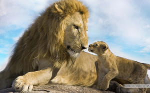 Funny Quotes Contact Dmca...