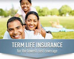 Term Life Insurance vs. Whole Life Insurance