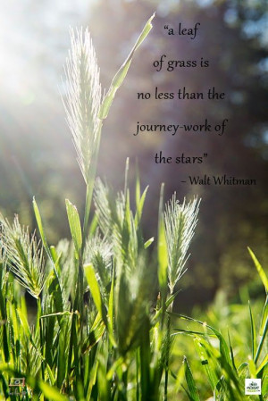 Wandering Wisdom Wednesday] 