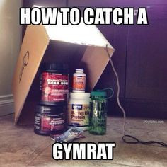 From a fan. Looks like a foolproof plan. TAG your fellow #gymrats to ...