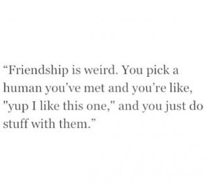 ... funny, humans, insta, like, love, quote, reality, text, tumblr, weird