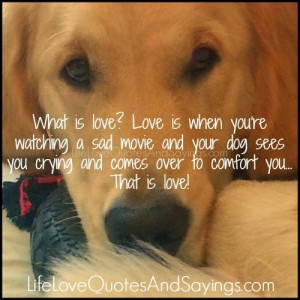 dog quotes sad loving sayings funny missing quotesgram