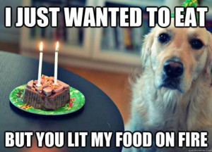 Sad Dog Meme Doesn’t Get Why Set his Food On Fire